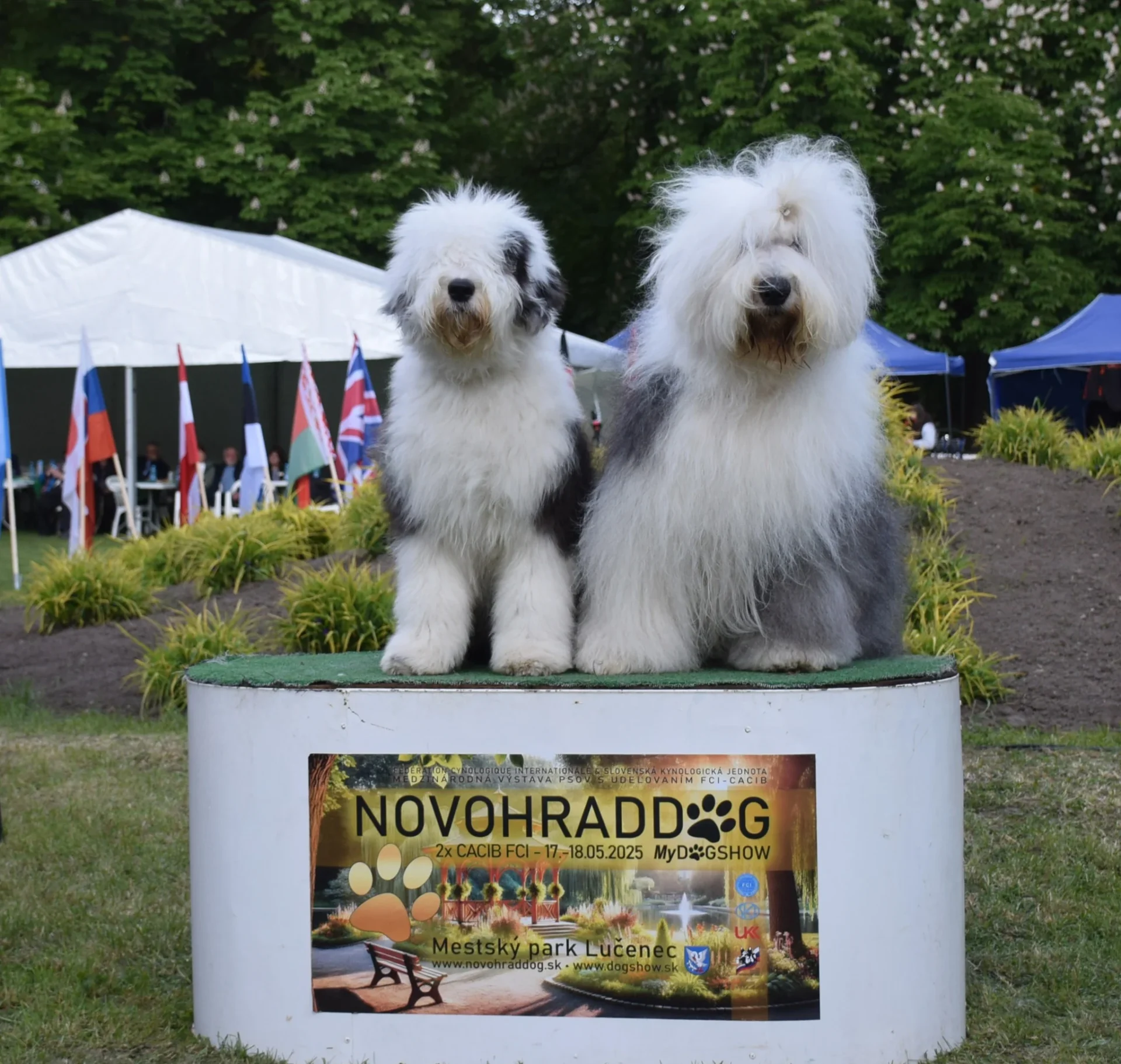 Lizi a Vili v  Novohrade 2025